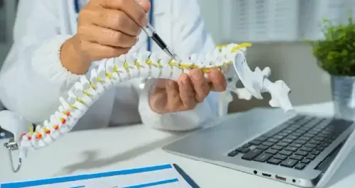 Bone Health Management: Treatment, Nutrition, and Prevention