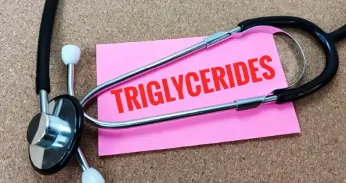 High Triglycerides Treatment: Treatment, Diet, and Prevention Strategies