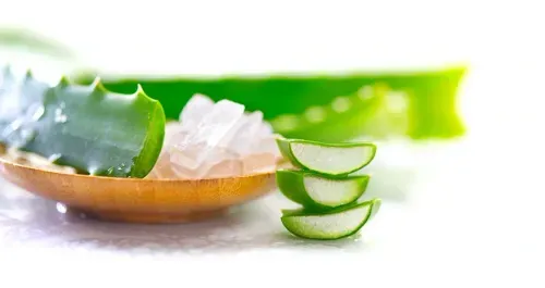 aloe vera benefits