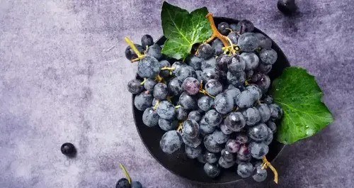 benefits of black grapes