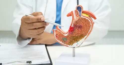Foods To Eat with Gastritis for Better Digestive Comfort
