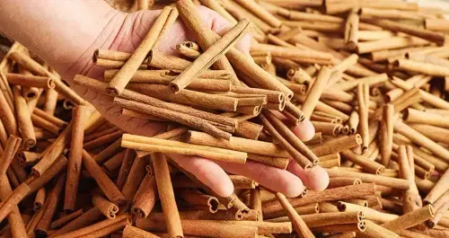 Cinnamon Benefits for Health, Weight Loss & Everyday Wellness