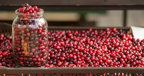 Cranberries Benefits - Advantages for Heart, Digestion & Skin Health