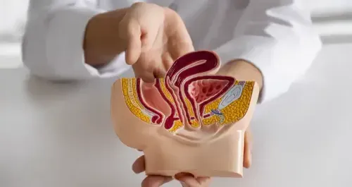 Hemorrhoids (Piles) - Types & Treatment Options