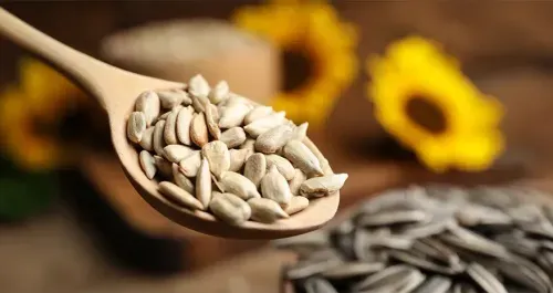 Sunflower Seeds Nutrients - Nutrition Facts & Health Benefits
