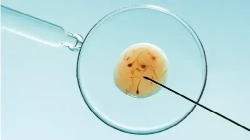 Health Insurance for IVF