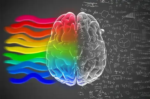 Left Brain vs Right Brain: The Myth Debunked