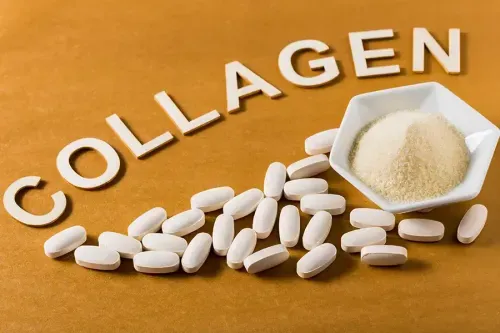 What is the Function of the Collagen Fibres?
