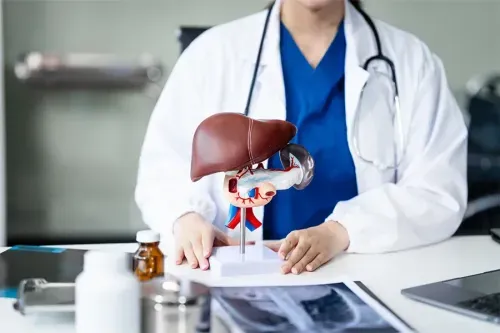All About Liver Transplants: Surgery to Recovery