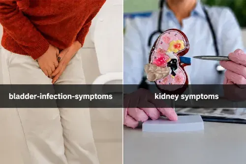 What is the Difference Between Kidney and Bladder Infection Symptoms? 