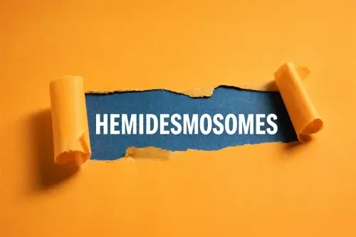 What is the Disease Associated With Hemidesmosomes?
