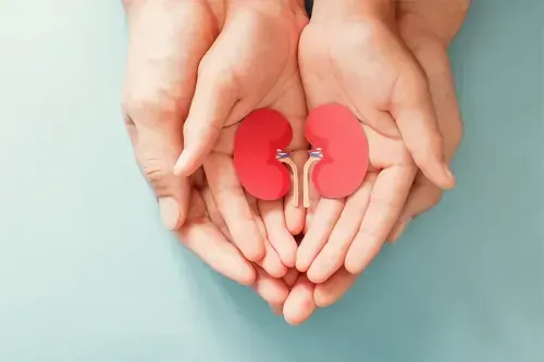 How to Prevent Kidney Disease?