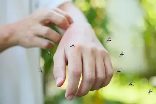 Is Dengue Covered Under Dr. Nandamuri Taraka Rama Rao Vaidya Seva?