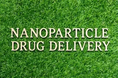 What is Nanoparticle Drug Delivery and its Cost?
