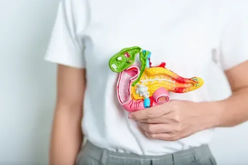 What is Pancreatic Enzyme Therapy (PERT)?