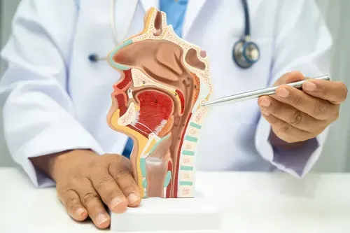What is the Pharyngeal Tonsil?