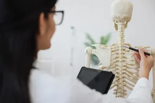 Why is the Reticulospinal Tract Clinically Important?