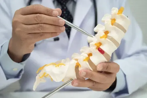 What is the Reticulospinal Tract?