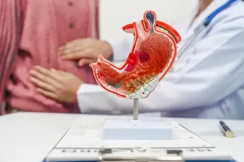 Right Gastric Artery: Structure, Role, and Surgical Relevance