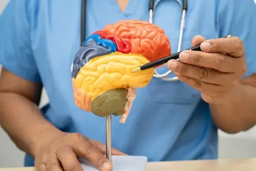 Wallenberg Syndrome and Its Impact on Brainstem Function