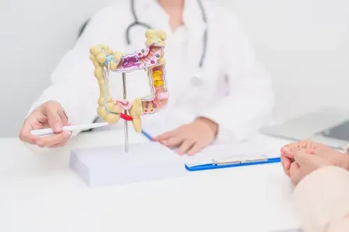 What are Diverticulosis and Diverticulitis?