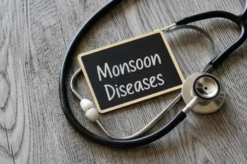 What are Monsoon Diseases - Types and Best Prevention Methods