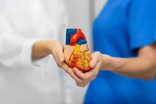 What are the 4 Stages of Cardiomyopathy?