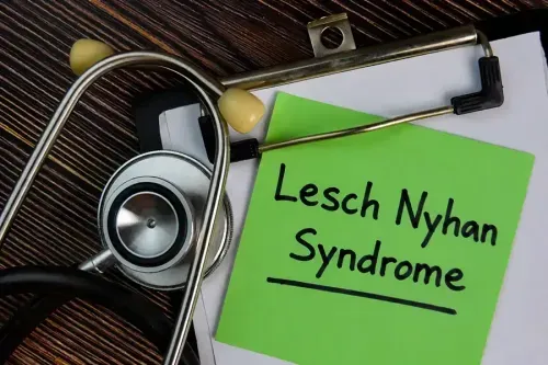 What are The Causes Of Lesch-Nyhan Syndrome?