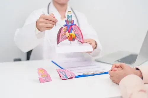 What is the Main Cause of Cystic Fibrosis?