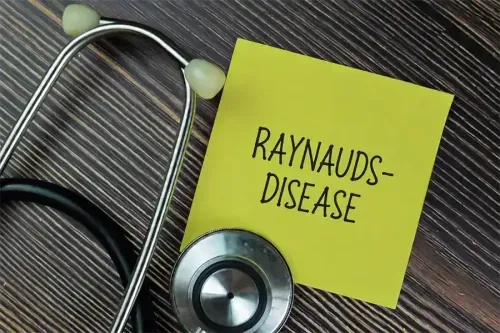 What is the Main Cause of Raynaud's Disease?