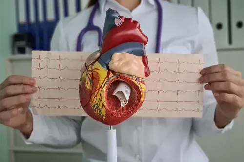 What are the Modifiable Risk Factors for Cardiovascular Disease?
