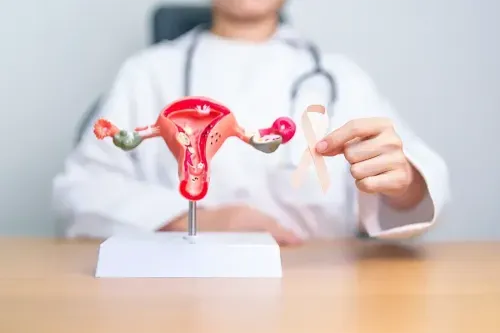 What Are the Risk Factors for Endometrial Cancer?