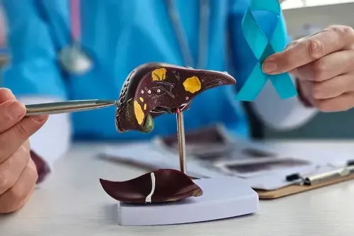 What are the Risk Factors for Liver Cancer?