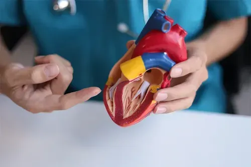 What are the Types of Heart Valve Surgeries?