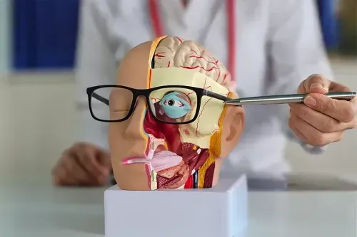 What Damages the Abducens Nerve?