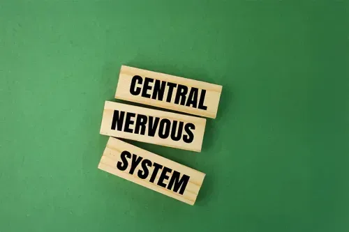 What Disease Attacks the Central Nervous System?