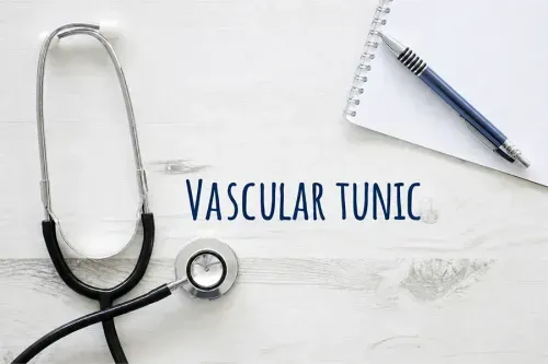 What is a Vascular Tunic?