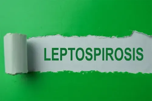 What is Leptospirosis Disease?