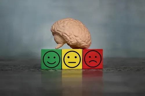 What is Mental Illness?