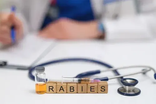 What is Rabies Disease?