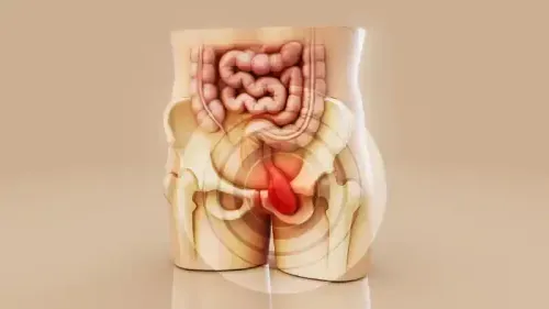 What is Fistula Disease?