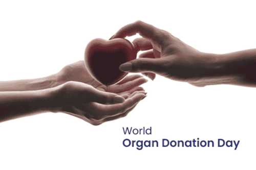 World Organ Donation Day