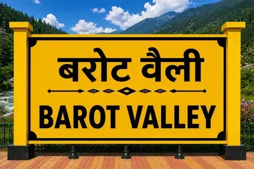 Health Insurance Plans in Barot Valley