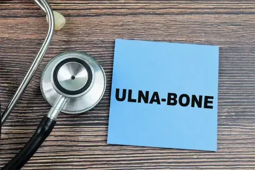 What is the Ulna Bone?