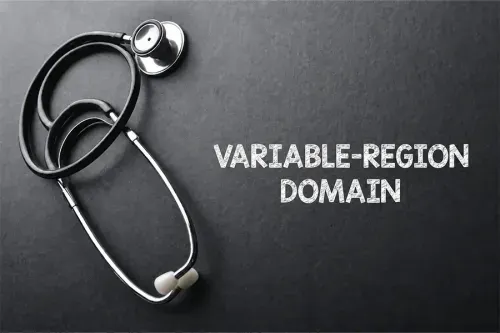 Antibody Variable Region: Role in Immune Specificity