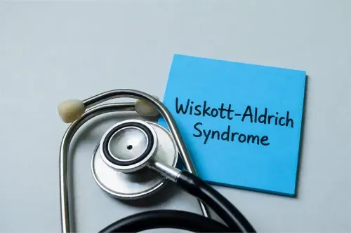 What is the Wiskott-Aldrich Syndrome?