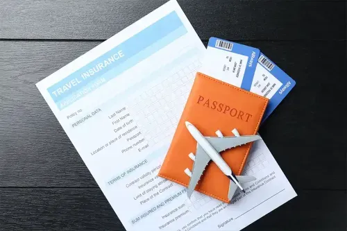 What is Travel Medical Insurance?