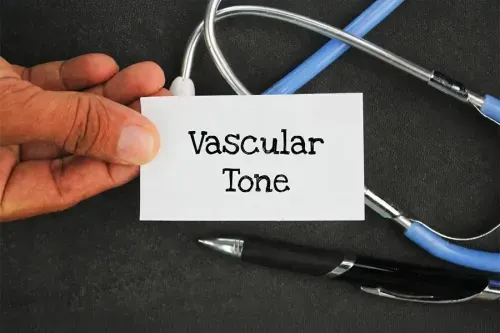 What is Vascular Tone?