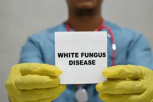 What is White Fungus Disease?